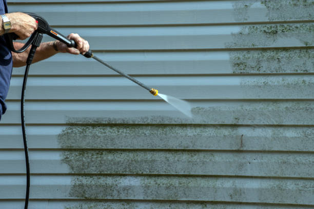 Best Graffiti Removal  in Mack, OH